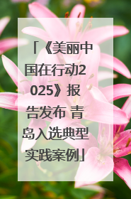 《美丽中国在行动2025》报告发布 青岛入选典型实践案例
