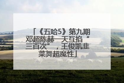 《五哈5》第九期邓超陈赫一天互掐“三百次”，王俊凯韭菜舞超魔性