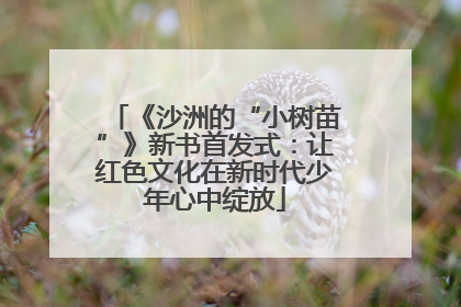 《沙洲的“小树苗”》新书首发式：让红色文化在新时代少年心中绽放