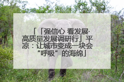 「强信心 看发展·高质量发展调研行」平凉：让城市变成一块会“呼吸”的海绵