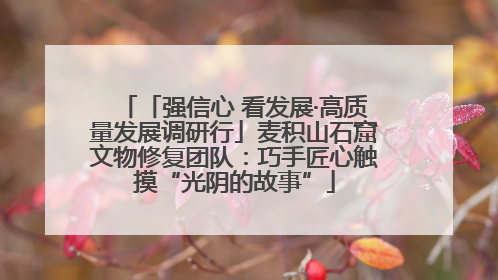「强信心 看发展·高质量发展调研行」麦积山石窟文物修复团队：巧手匠心触摸“光阴的故事”