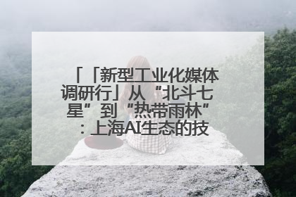 「新型工业化媒体调研行」从“北斗七星”到“热带雨林”：上海AI生态的技术商业共生密码