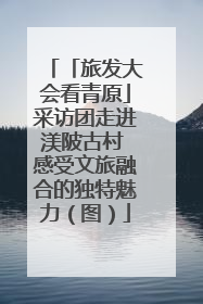「旅发大会看青原」采访团走进渼陂古村 感受文旅融合的独特魅力（图）