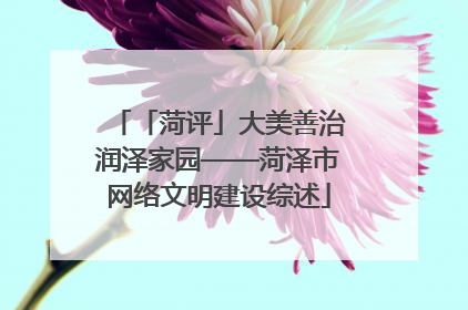 「菏评」大美善治润泽家园——菏泽市网络文明建设综述