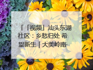 「视频」汕头东湖社区：乡愁归处 希望新生｜大美岭南·百村焕新记