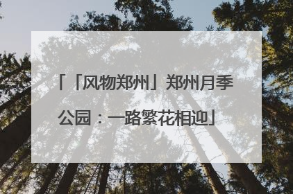 「风物郑州」郑州月季公园：一路繁花相迎