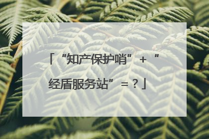 “知产保护哨”+“经盾服务站”=？