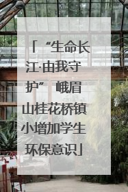 “生命长江·由我守护” 峨眉山桂花桥镇小增加学生环保意识