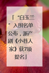 “白玉兰”入围名单公布，浙产剧《小巷人家》获7项提名