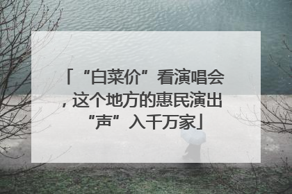 “白菜价”看演唱会，这个地方的惠民演出“声”入千万家