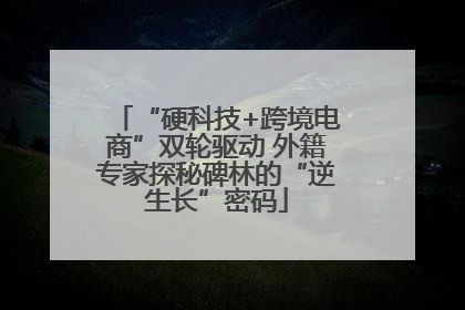 “硬科技+跨境电商”双轮驱动 外籍专家探秘碑林的“逆生长”密码