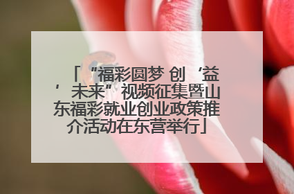 “福彩圆梦 创‘益’未来”视频征集暨山东福彩就业创业政策推介活动在东营举行