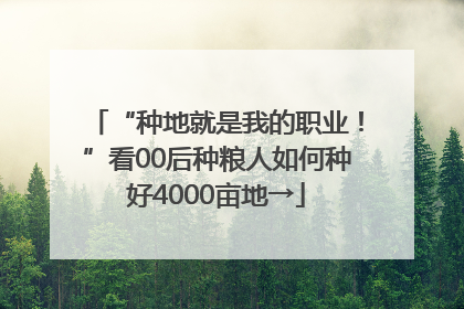 “种地就是我的职业！”看00后种粮人如何种好4000亩地→