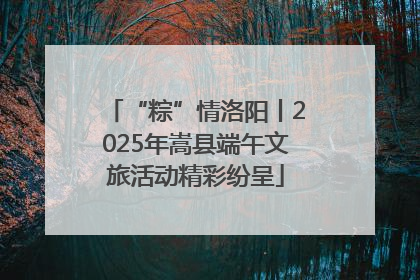 “粽”情洛阳丨2025年嵩县端午文旅活动精彩纷呈