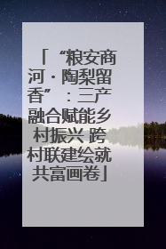 “粮安商河・陶梨留香”：三产融合赋能乡村振兴 跨村联建绘就共富画卷
