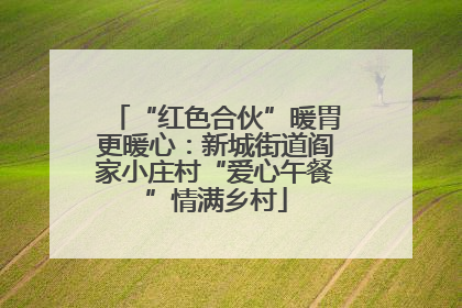 “红色合伙”暖胃更暖心：新城街道阎家小庄村“爱心午餐”情满乡村