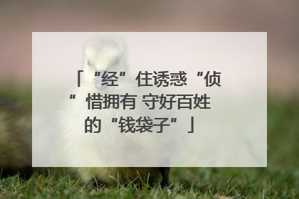 “经”住诱惑“侦”惜拥有 守好百姓的“钱袋子”