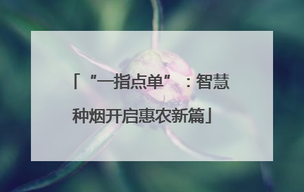 “一指点单”：智慧种烟开启惠农新篇