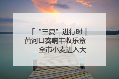 “三夏”进行时｜黄河口奏响丰收乐章——全市小麦进入大面积收获高峰期