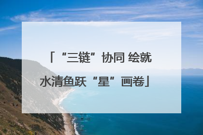 “三链”协同 绘就水清鱼跃“星”画卷