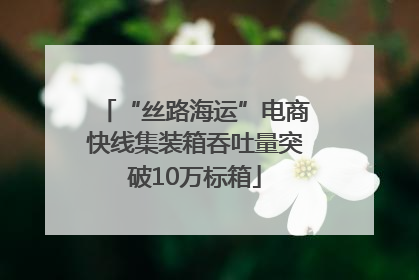 “丝路海运”电商快线集装箱吞吐量突破10万标箱
