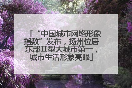 “中国城市网络形象指数”发布，扬州位居东部Ⅱ型大城市第一，城市生活形象亮眼