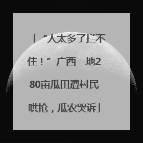 “人太多了拦不住！”广西一地280亩瓜田遭村民哄抢，瓜农哭诉