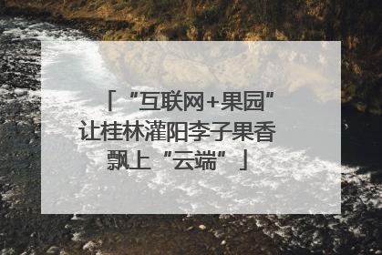 “互联网+果园”让桂林灌阳李子果香飘上“云端”
