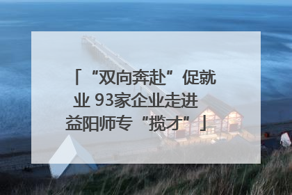 “双向奔赴”促就业 93家企业走进益阳师专“揽才”