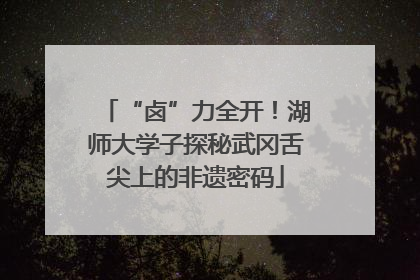 “卤”力全开！湖师大学子探秘武冈舌尖上的非遗密码