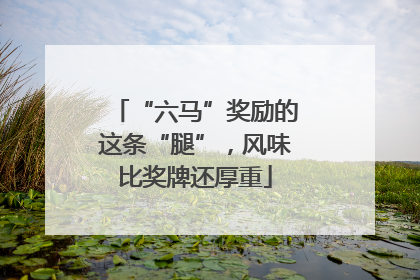“六马”奖励的这条“腿”，风味比奖牌还厚重