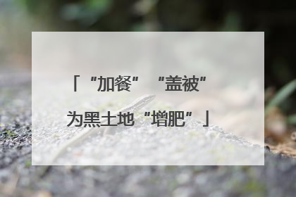 “加餐”“盖被” 为黑土地“增肥”