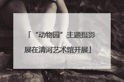 “动物园”主题摄影展在清河艺术馆开展