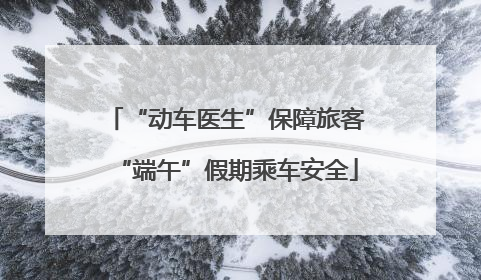 “动车医生”保障旅客“端午”假期乘车安全