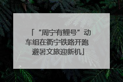 “周宁有鲤号”动车组在衢宁铁路开跑 避暑文旅迎新机
