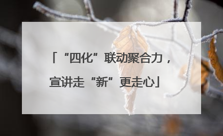 “四化”联动聚合力，宣讲走“新”更走心