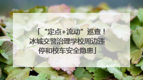 “定点+流动”巡查！冰城交警治理学校周边违停和校车安全隐患