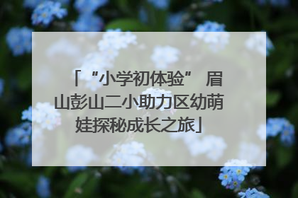 “小学初体验” 眉山彭山二小助力区幼萌娃探秘成长之旅