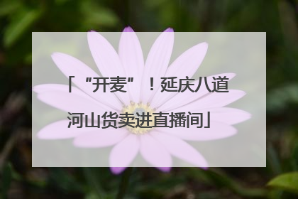 “开麦”！延庆八道河山货卖进直播间