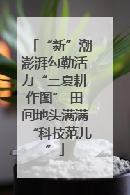 “新”潮澎湃勾勒活力“三夏耕作图” 田间地头满满“科技范儿”