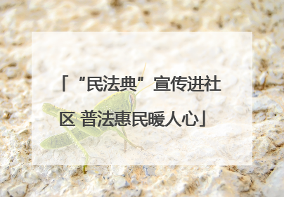 “民法典”宣传进社区 普法惠民暖人心
