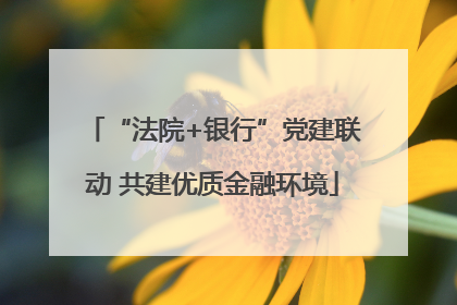 “法院+银行”党建联动 共建优质金融环境