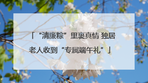 “清廉粽”里裹真情 独居老人收到“专属端午礼”