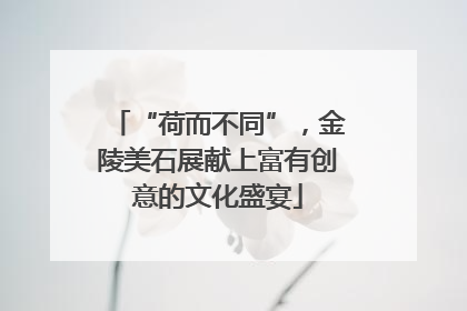 “荷而不同”，金陵美石展献上富有创意的文化盛宴