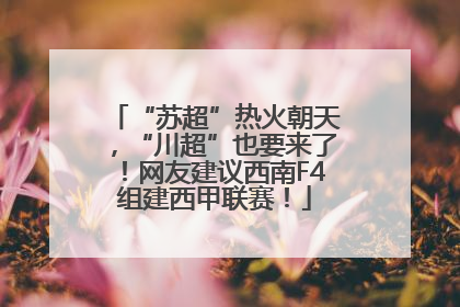“苏超”热火朝天，“川超”也要来了！网友建议西南F4组建西甲联赛！