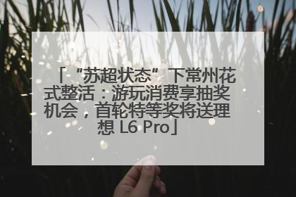 “苏超状态”下常州花式整活：游玩消费享抽奖机会，首轮特等奖将送理想 L6 Pro