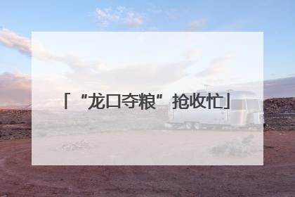 “龙口夺粮”抢收忙