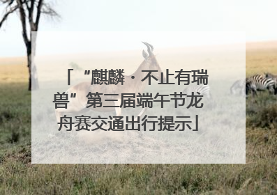 “麒麟・不止有瑞兽”第三届端午节龙舟赛交通出行提示
