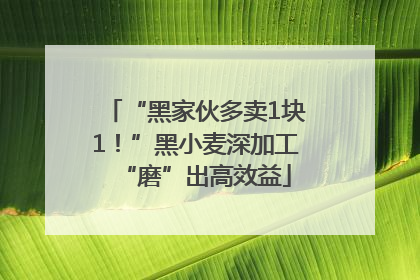 “黑家伙多卖1块1！”黑小麦深加工“磨”出高效益