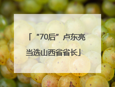 “70后”卢东亮当选山西省省长
